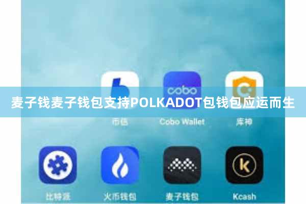麦子钱麦子钱包支持POLKADOT包钱包应运而生