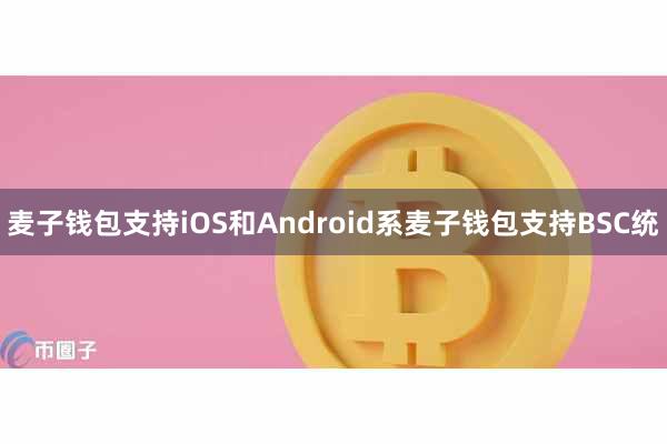 麦子钱包支持iOS和Android系麦子钱包支持BSC统