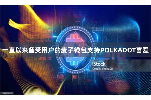 一直以来备受用户的麦子钱包支持POLKADOT喜爱