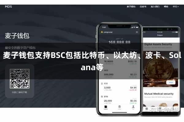 麦子钱包支持BSC包括比特币、以太坊、波卡、Solana等