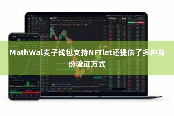 MathWal麦子钱包支持NFTlet还提供了多种身份验证方式