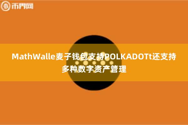 MathWalle麦子钱包支持POLKADOTt还支持多种数字资产管理