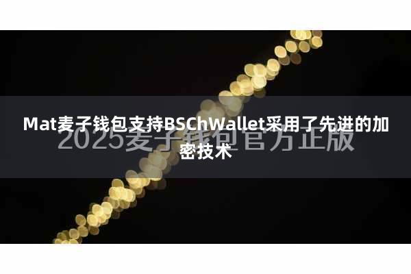Mat麦子钱包支持BSChWallet采用了先进的加密技术