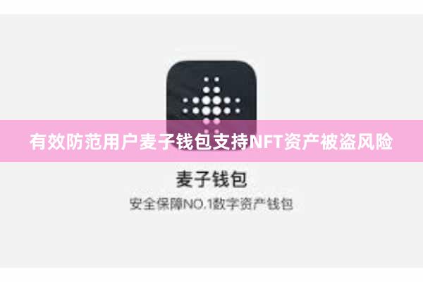 有效防范用户麦子钱包支持NFT资产被盗风险